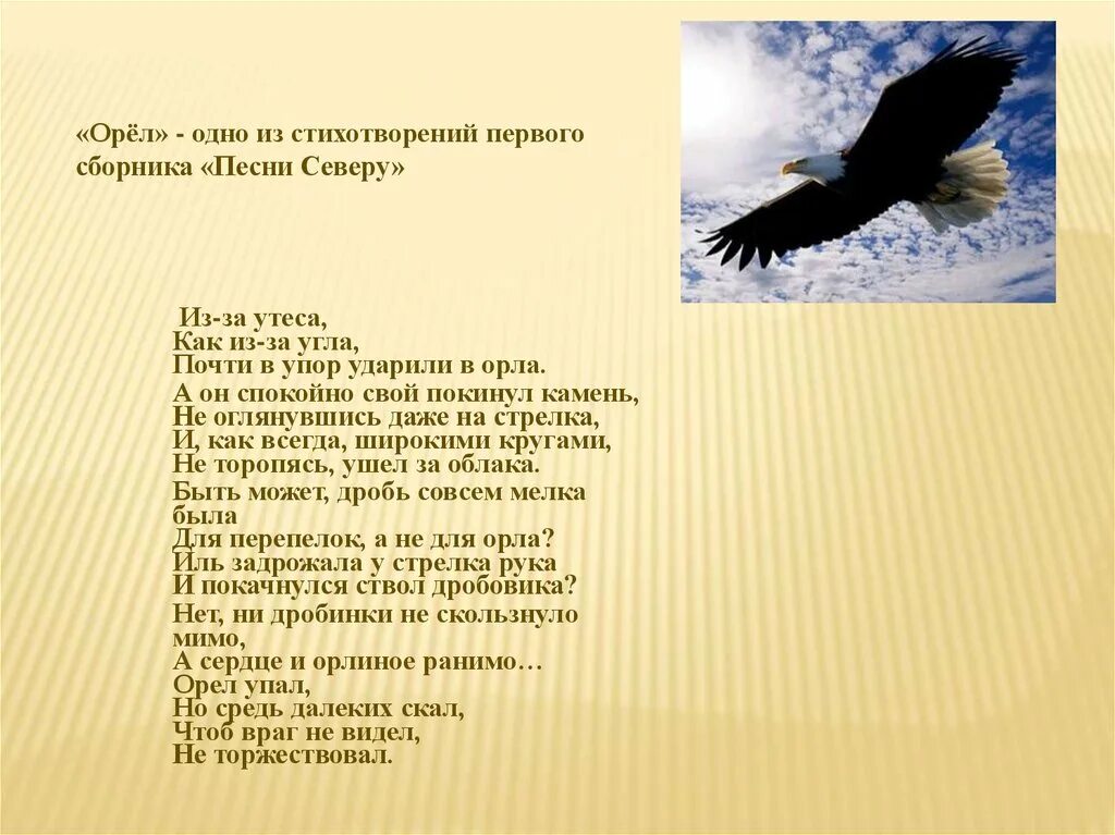 Поэзия орлов. Стих про орла. Орёл упал но средь далёких скал. Стих Яшина Орел. Стих из за утеса как из за угла почти в упор ударили в орла.