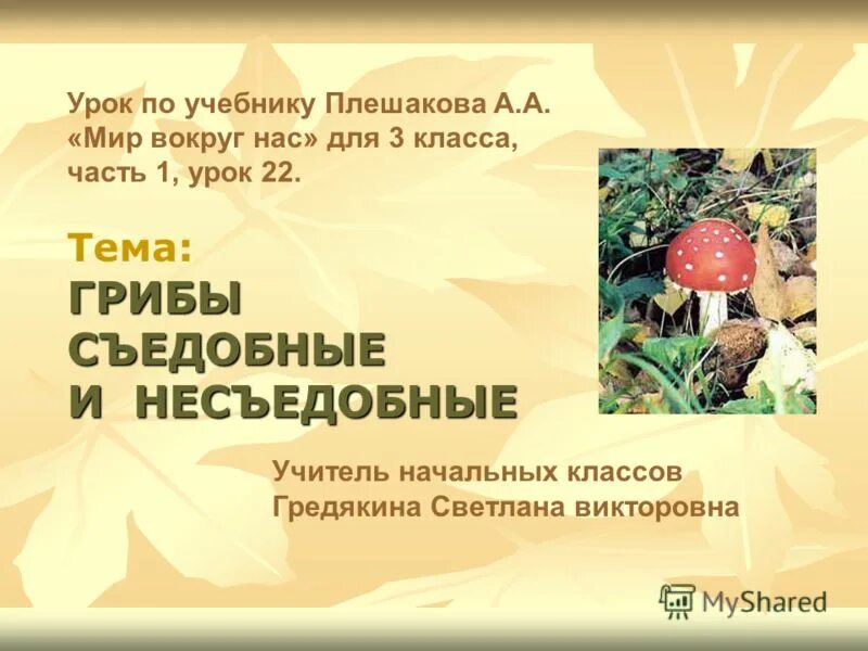 Проверочная по теме грибы 3 класс. Проверочная по теме грибы 3 класс