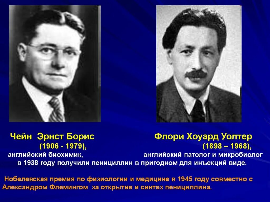 Флори история. Флори история. Говард флори пенициллин. Флори история. Эрнст чейн антибиотики.