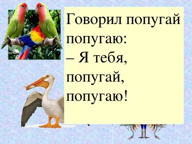 Попугай говорит уроки. Говорит попугай попугаю. Скороговорка попугай говорит попугаю. Говорилпапугай паругаю. Скороговорку я тебя попугай попугаю.