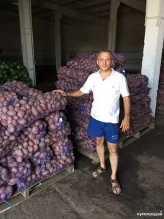 Мальково тюмень картофель