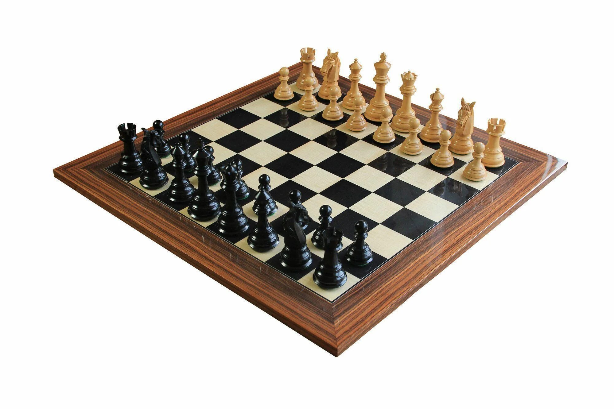 Чесс магазин. Шахматы dgt пластиковые. Чесс магазин. Шахматы торнамент 5 48х48см. Шахматы "завоеватель премиум".