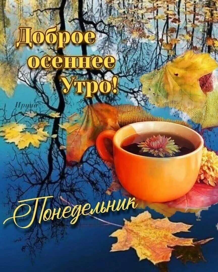 Доброго осеннего утра отличных выходных. С добрым осенним. открытки с добрым утром осенние. доброе осеннее утро с пожеланиями. доброго осеннего утра и хорошего.