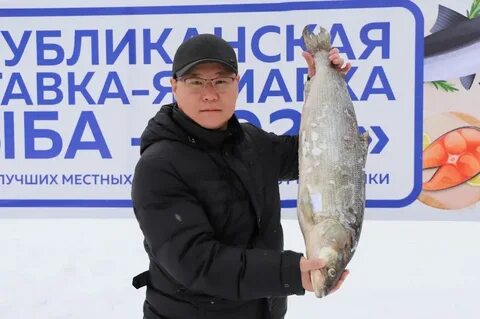 Рыба якутии