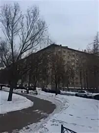 Индекс крупской