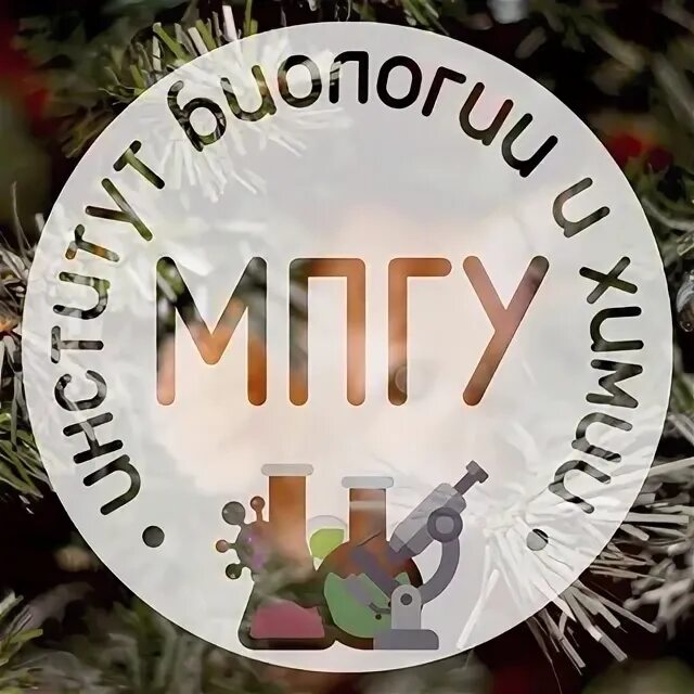 Тюмгу институт биологии тюмень улица. Химфак мгу лаборатории. Здание биологического факультета мгу. Мпгу биология и химия. Тюмгу институт биологии тюмень.