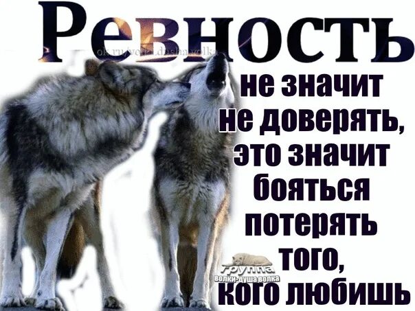 Если человек ревнует значит любит. Ревность волка. Что значит ревность. Это не ревность. Без тебя ревную