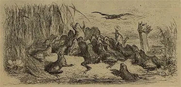 Иллюстрация к басне. Лафонтен лягушки. Басня лафонтена лягушка и крыса. Басни эзопа рисунки. Крыса и лягушка.