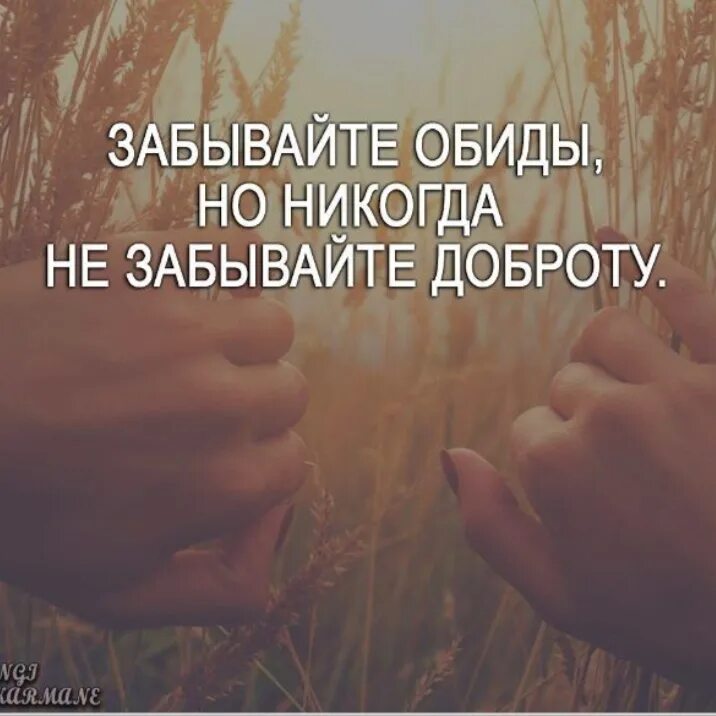 Доброта забывается. Люди забывают доброту. добро забывается. добро быстро забывается. не забывайте о доброте.