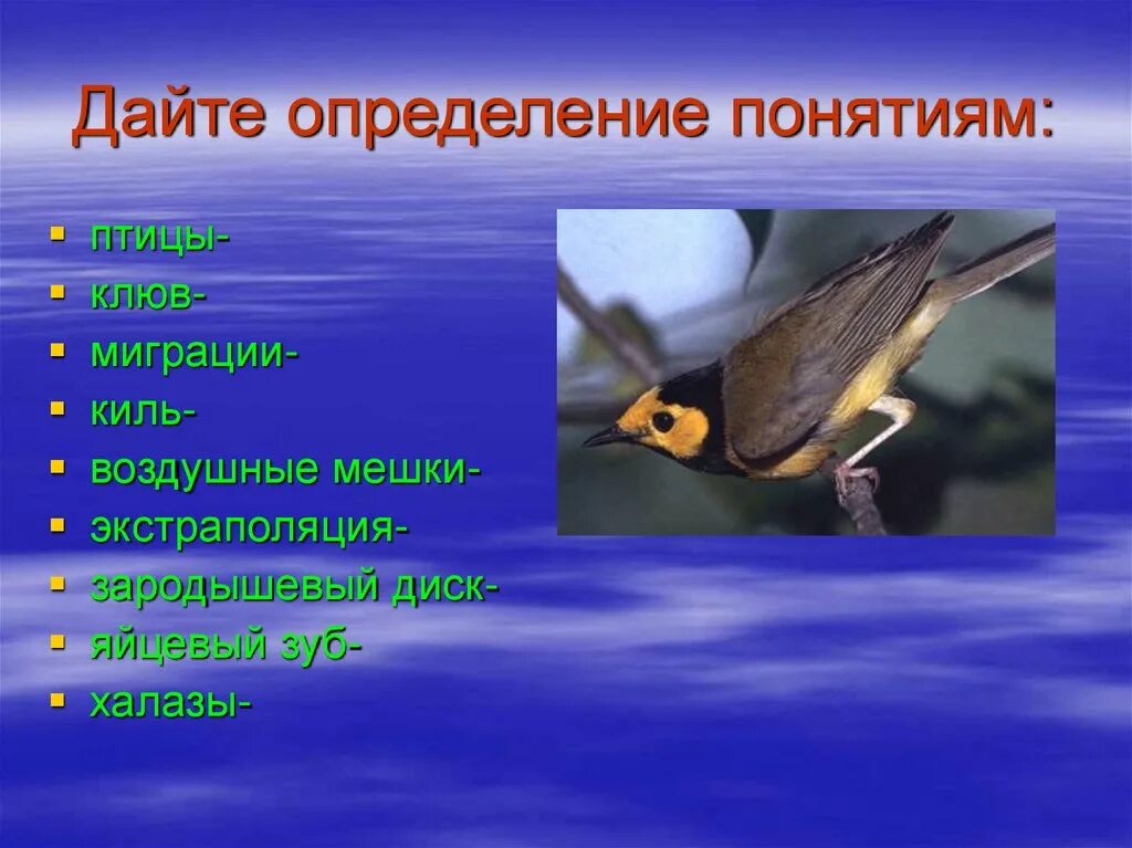 Сезонные миграции птиц. Сезонные изменения в жизни птиц. Птицы термины. Сезонные явления у птиц. Последовательность сезонных явлений в жизни птиц