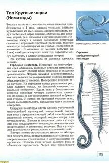 Круглые черви живут в