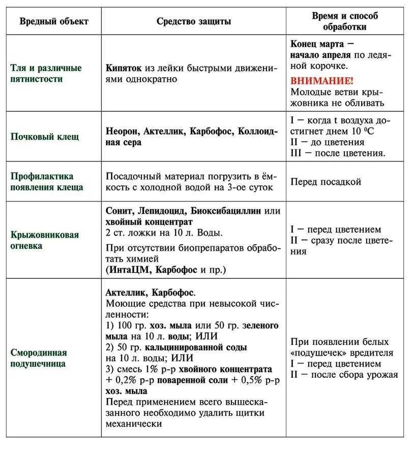 Когда можно обрабатывать смородину от вредителей. Обработка смородины весной кипятком когда. Когда и как обработать смородину кипятком весной температура. Полить кусты смородины кипятком весной от вредителей. Обработка смородины весной от болезней и вредителей.