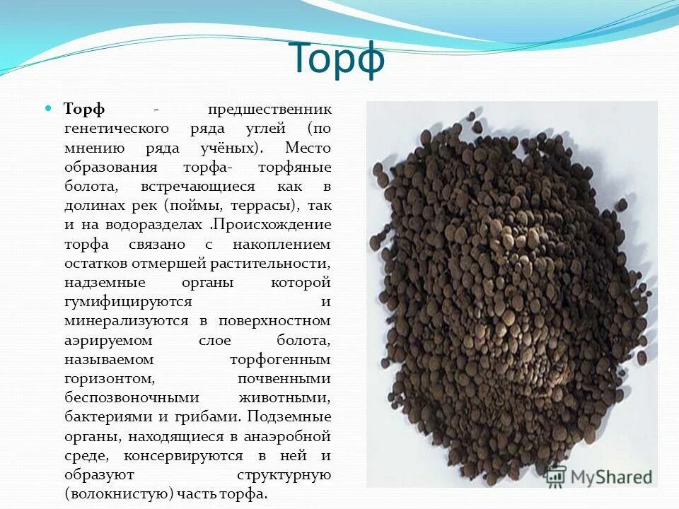 Торф прочность. Торф прочность