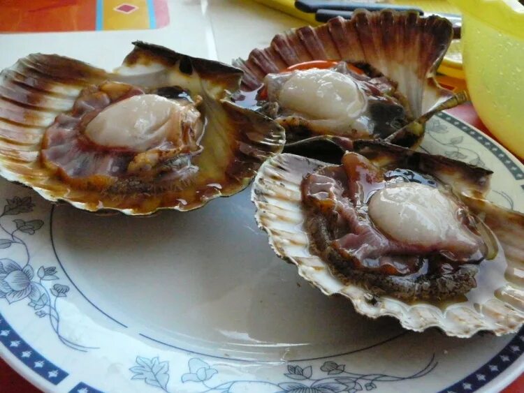 Морепродукты Морской гребешок - "Морской гребешок рецепт приготовления. Как прав