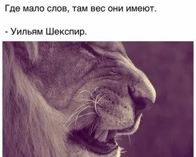 На дне терпения