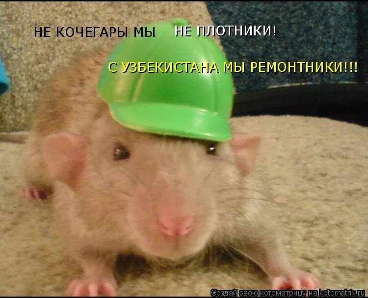 Леха кочегар. Марш монтажников высотников. Ни кочегары мы не песня. Ни кочегары мы не песня. Группа кочегары москва.