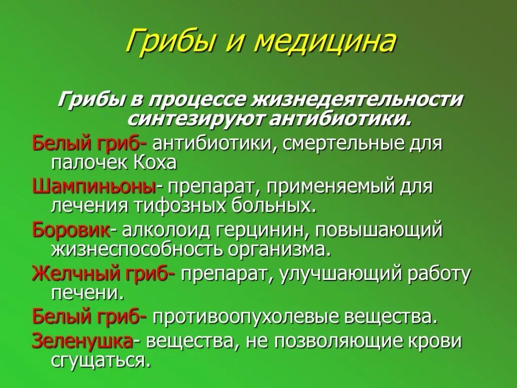 Используется для получения антибиотиков гриб. Медицинское значение грибов. грибы используемые в медицине. роль грибов в медицине. значение грибов в фармации и медицине..