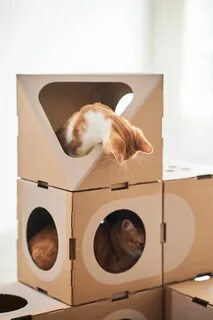 Как сделать кошка коробка