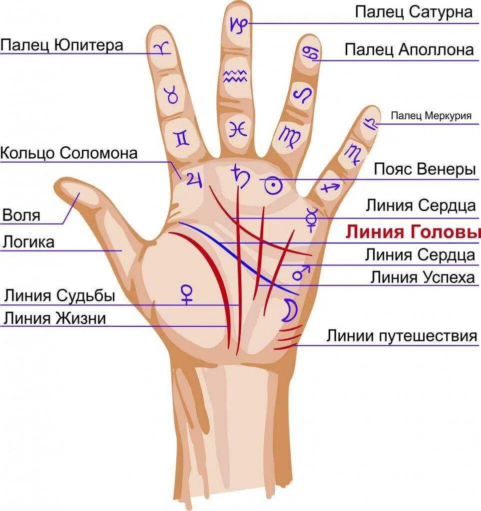 Определить человека по руке