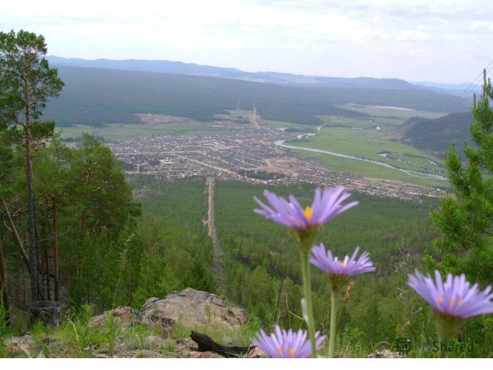 хоринском бурятии тэгда