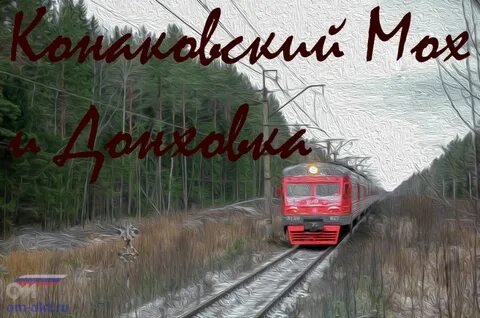 Конаковский мох зеленоград