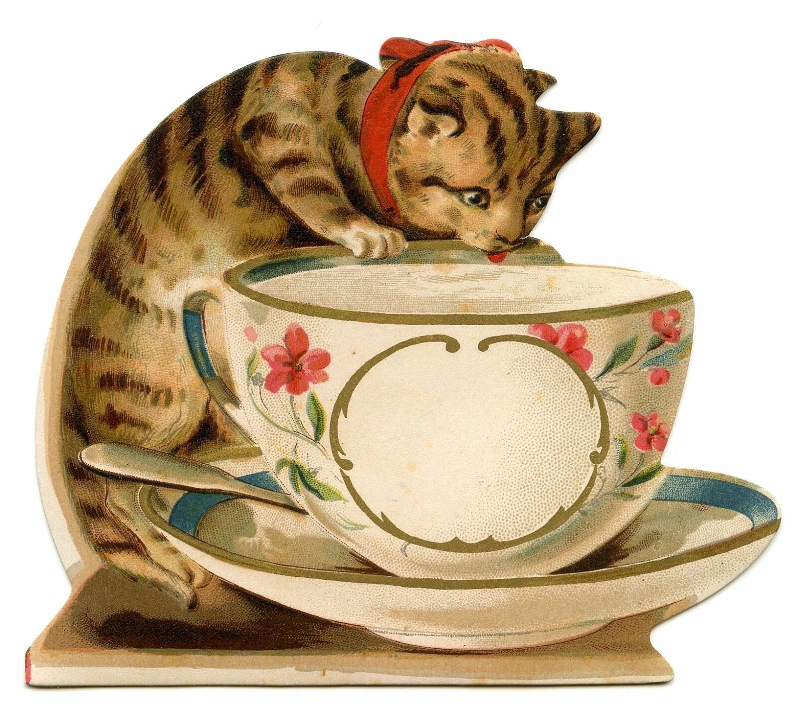 Cat cup