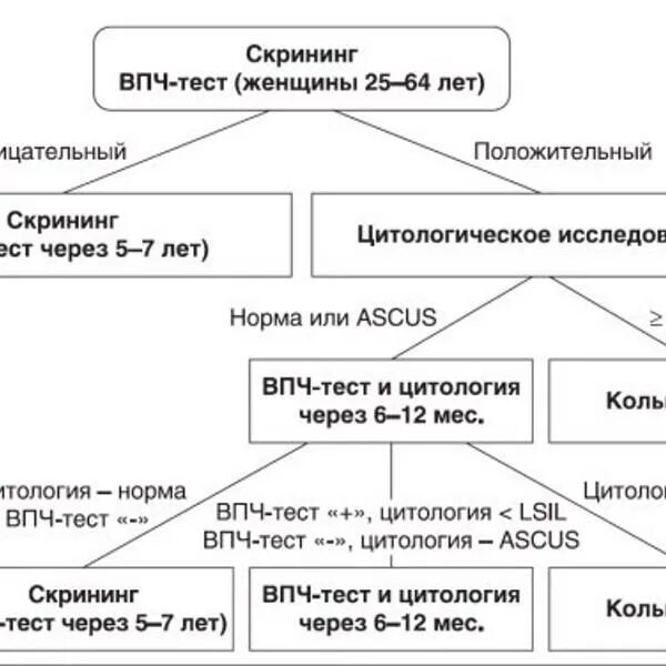 Вируспаппиломы человека. Схема лечения вируса папилломы человека. Схема лечения вируса папилломы человека. Косвенные признаки hpv что это. Вируспаппиломы человека.