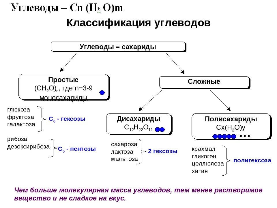 Классификация углеводов класс