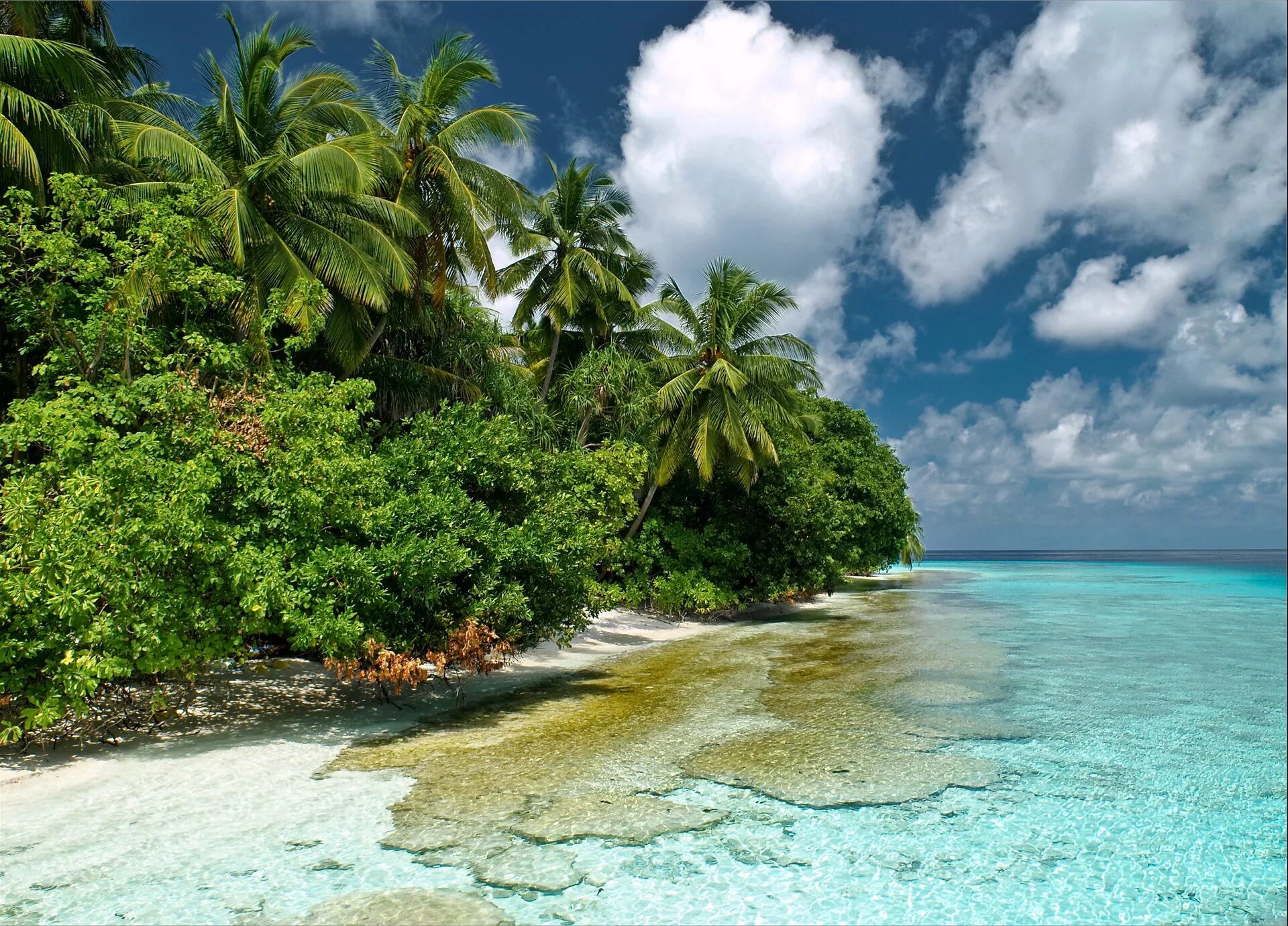 Индийский океан Мальдивы. Индийский океан Атолл Мале. Индийский океан Тайланд. Индийский океан Сейшельские острова.