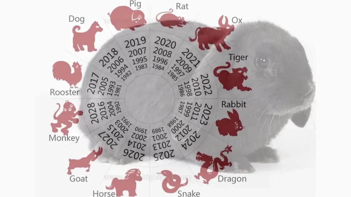 Какой следующий 2019. Какой следующий 2019