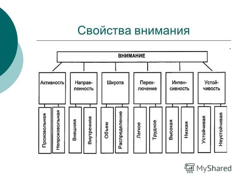 Элементы внимания. Классификация внимания. Свойства внимания. Схема виды внимания и их функции. Основные процессы внимания.