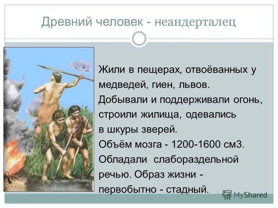 умели поддерживать добытый огонь. хомо эректус огонь. добывали и поддерживали огонь. добыча огня в древности. как добыть огонь.
