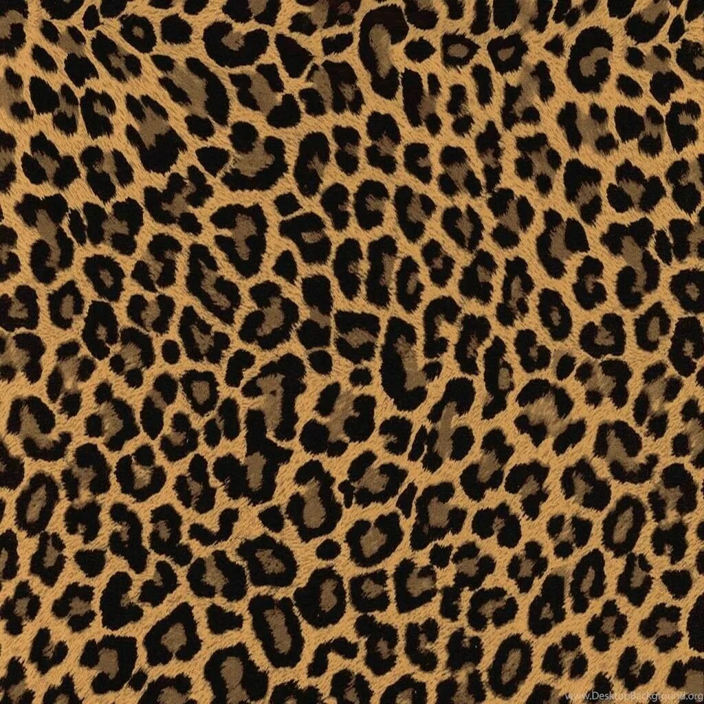 Принт леопард 2021 зебра. Leonord retro. Леопардовый принт 2022. Leonord retro. Leonord retro.