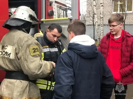 Жители дубна