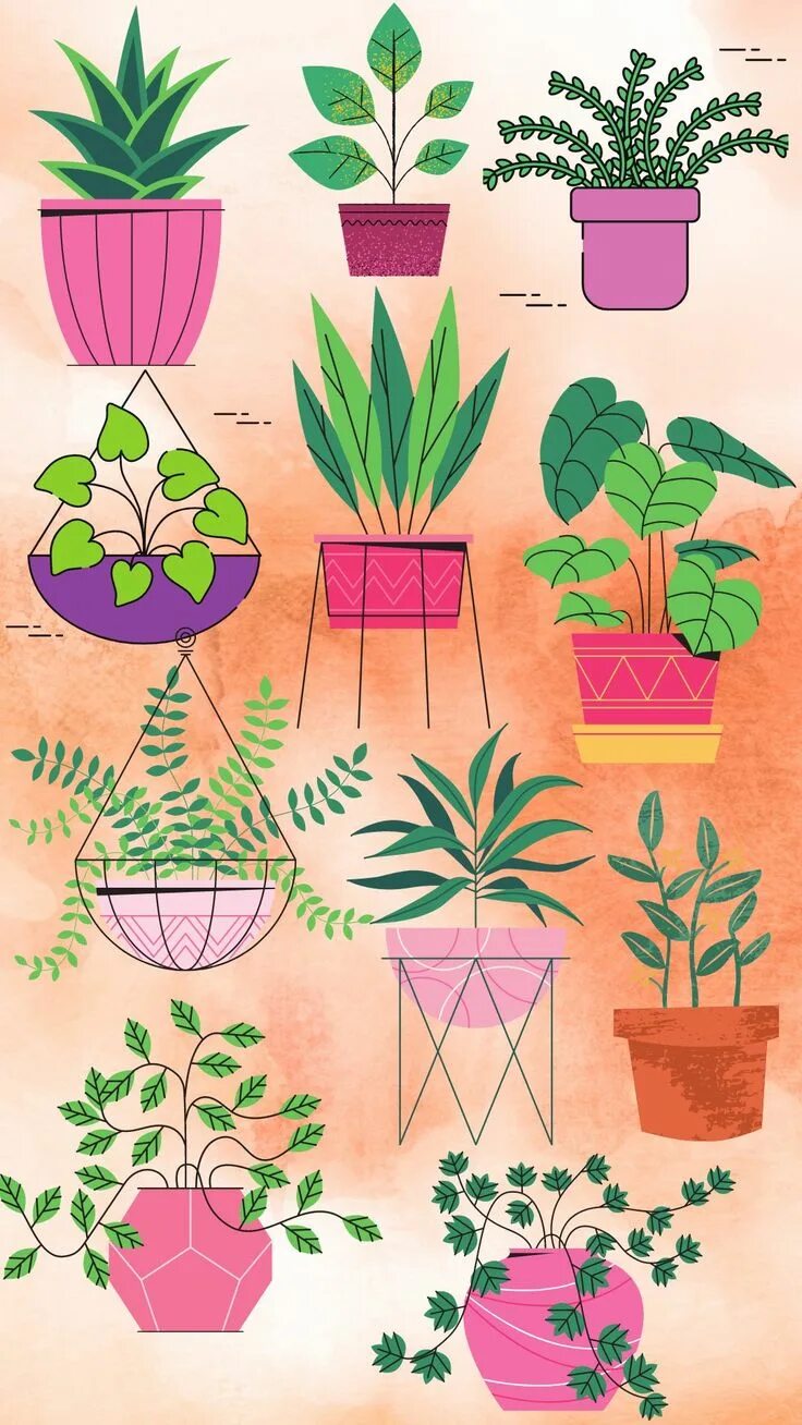 Pin en StickerS Plantas interiores, Plantas de interior, Plantillas para dibujar