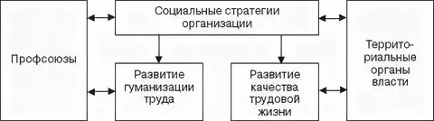 Стратегии социальных систем это
