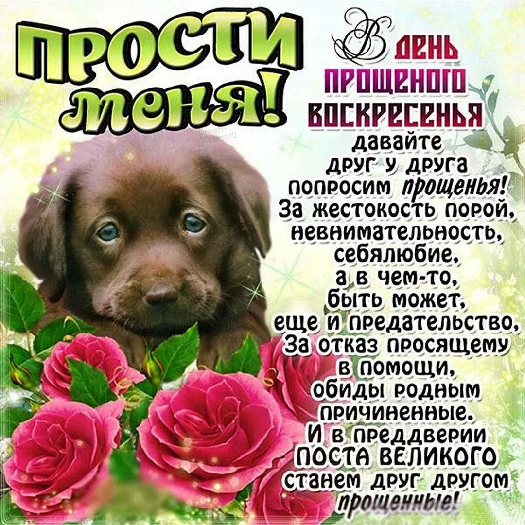 Просить прощения своими словами коротко
