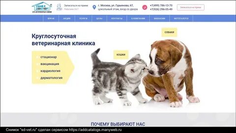 Круглосуточная ветклиника адреса