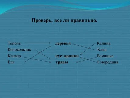 Дикорастущие деревья 2 класс окружающий мир