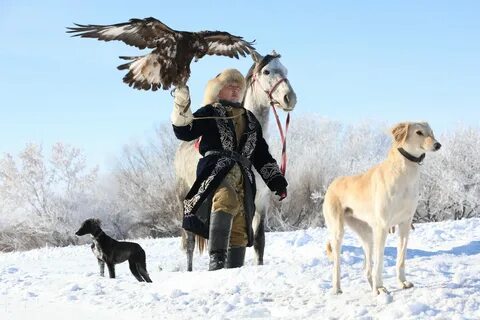 Интернеттегі БДСМ әйелдердің үстемдігі