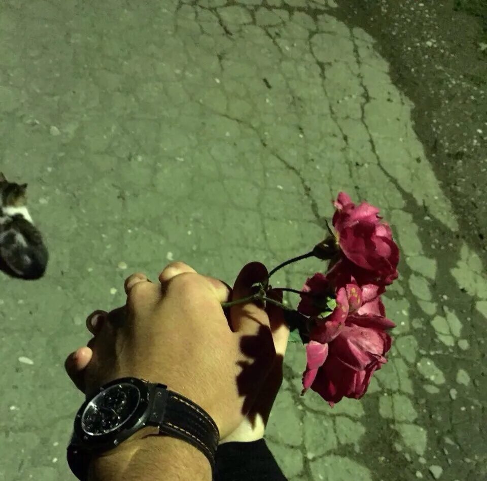 Нужно стать садом. Нужно стать садом. Нужно стать садом. Один человек может стать целым миром. Сад и огород.