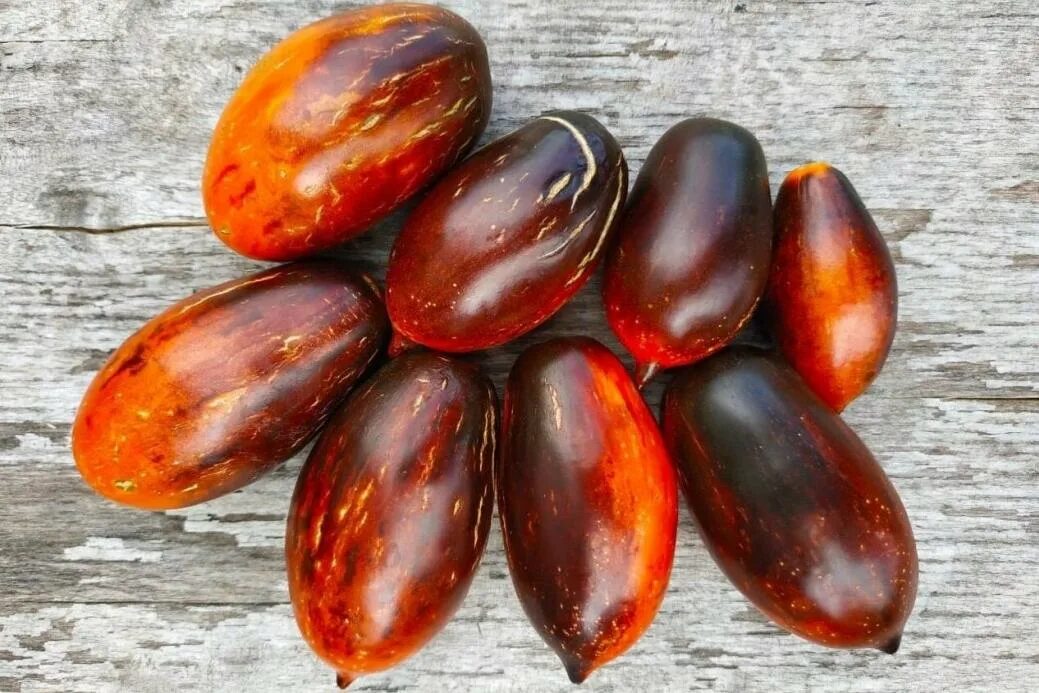 Томат бой с тенью характеристика и описание. Помидоры сорт гном бой с тенью. Томат бой с тенью. Томат гном бой с тенью описание. Томат бой с тенью характеристика и описание.