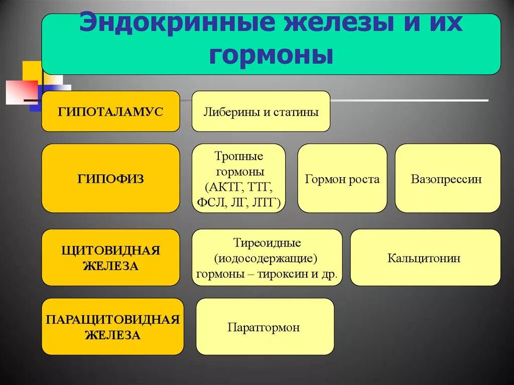 Эндокринные железы и гормоны. Эндокринные железы и их гормо. Железы внутренней секреции и их гормоны. Железы внутренней секреции и их гормоны и функции.