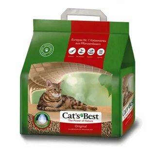 Cats best