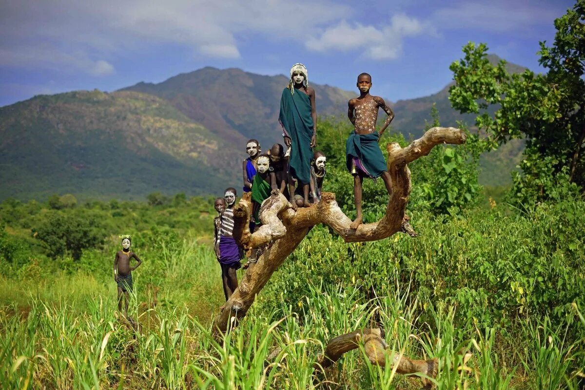 See africa. Африка Эфиопия. Абиссиния Эфиопия. Парк Ентото эфиопияэ. Национальный парк Симен в Эфиопии.