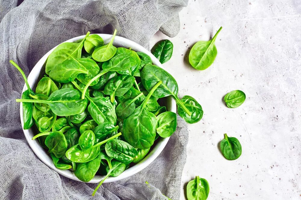 Салат шпинат с чесноком. Шпинат что приготовить. Щи из шпината. Австрийские кнедлики со шпинатом. Рецепты из шпината свежего.