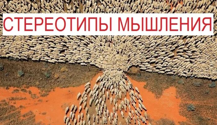 шаблонное стереотипное мышление. стереотипы мышления примеры. стереотипы мышления в психологии. стереотипное мышление. мыслить стереотипами.