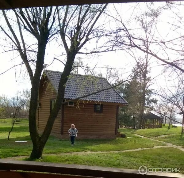 Турбаза лесная волгоград. Турбаза лесная волгоградская область. Турбаза одиссея волгоград. Лесная катюша. Турбаза лесная среднеахтубинский.