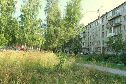 Погода лесогорский