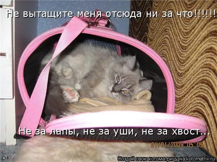 Вытащи меня отсюда. Вытащите меня отсюда.